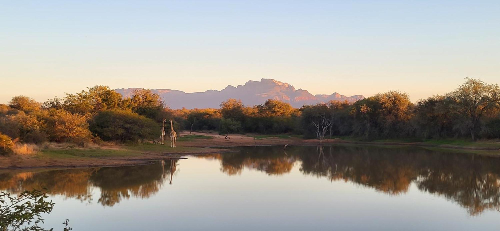 Villa Lanterfant - Luxury Stay In Nature - Solar Powered Hoedspruit Exteriér fotografie